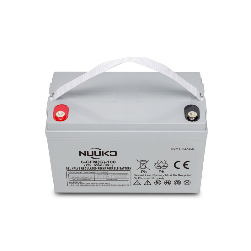 NICHT-6GFM 100G