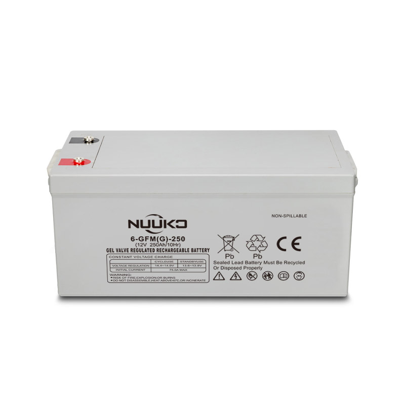 NICHT-6GFM 250G